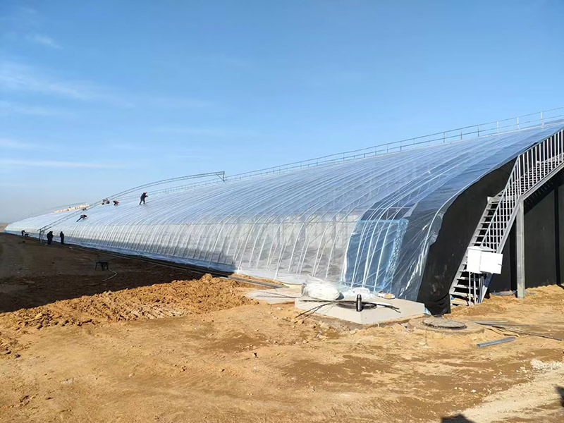 溫室大棚的優(yōu)勢(shì)有什么？