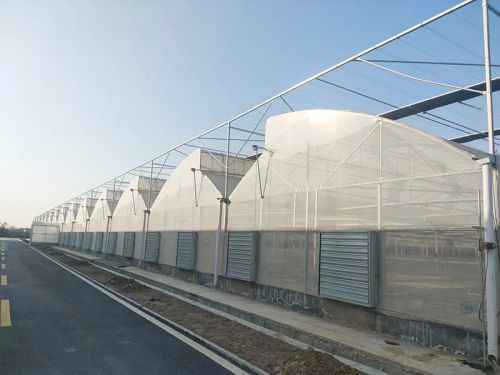 薄膜連棟溫室