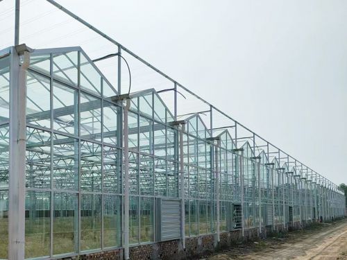 玻璃智能溫室