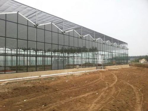 玻璃大棚