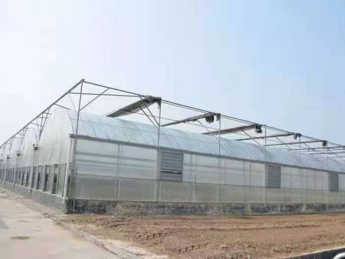 薄膜連棟溫室