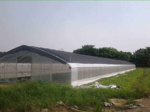 單棟薄膜溫室