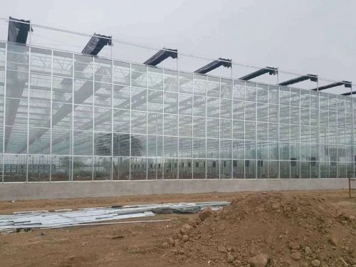 溫室大棚案例