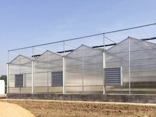 陽(yáng)光板溫室