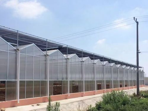 陽(yáng)光板溫室